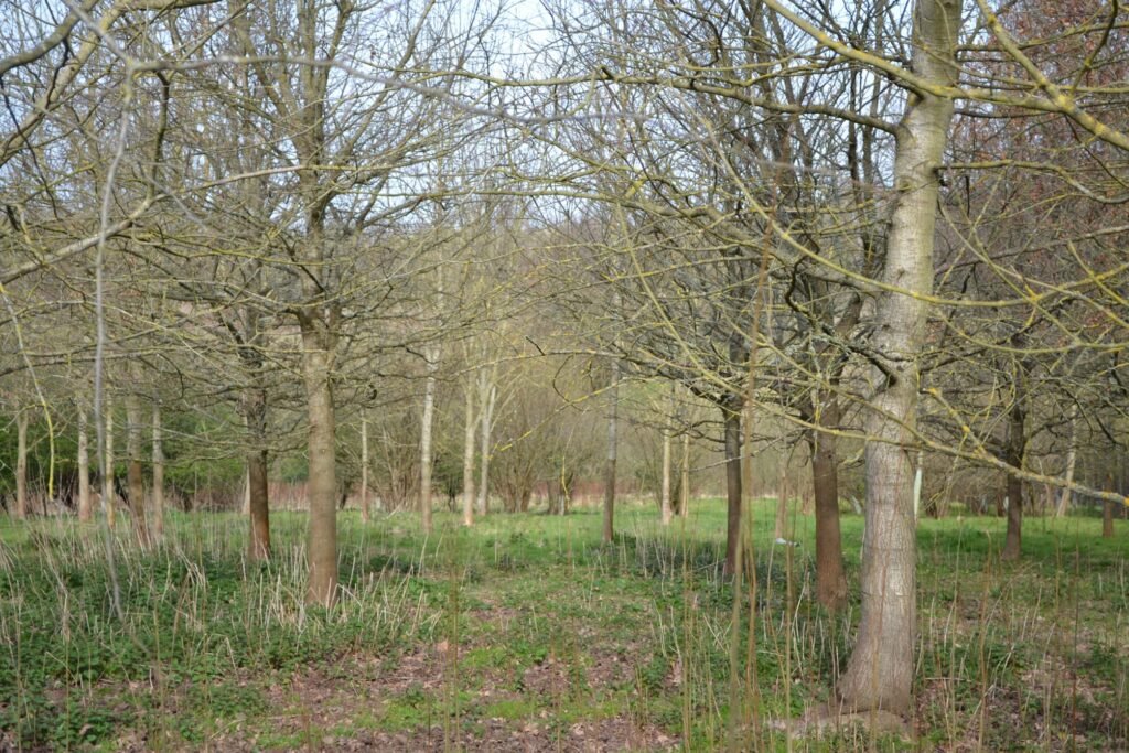 PRESS RELEASE: Viper Innovations, Leading The Way For SMEs Carbon-Neutral Challenge